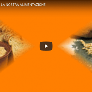 Come migliorare la nostra alimentazione Come migliorare la nostra alimentazione