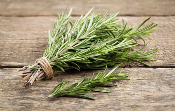 Le erbe aromatiche: il rosmarino
