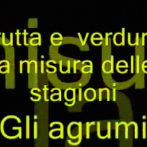 La misura delle stagioni: gli agrumi La misura delle stagioni: gli agrumi