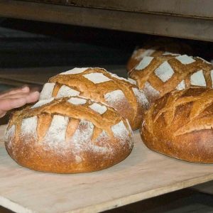 Acrilammide:come ridurre l’esposizione nella dieta