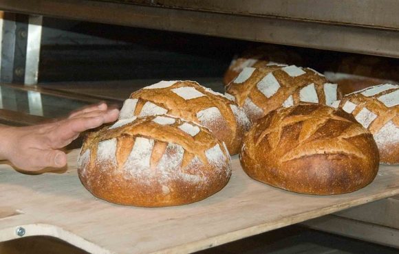 Acrilammide:come ridurre l’esposizione nella dieta Acrilammide:come ridurre l’esposizione nella dieta