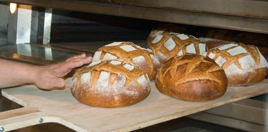 Acrilammide:come ridurre l’esposizione nella dieta Acrilammide:come ridurre l’esposizione nella dieta
