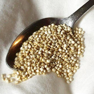 La quinoa: l’oro degli Inca