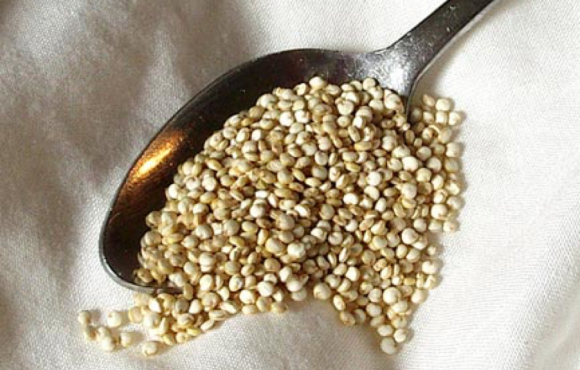 La quinoa: l’oro degli Inca La quinoa: l’oro degli Inca