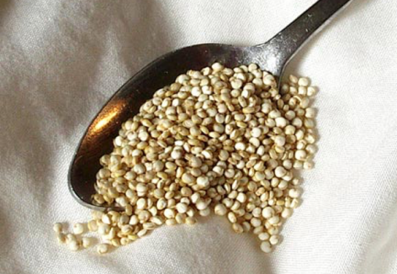 La quinoa: l’oro degli Inca