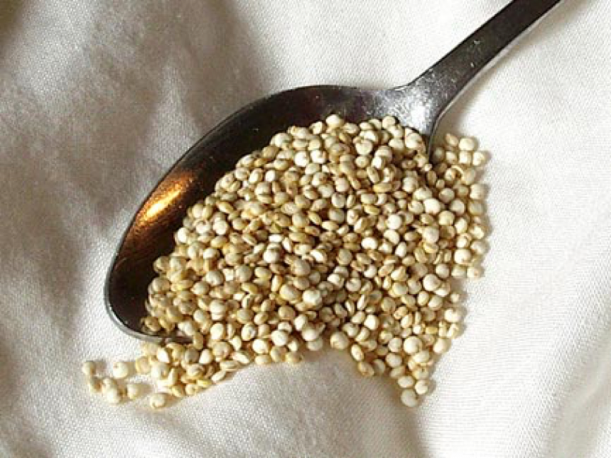 La quinoa: l’oro degli Inca